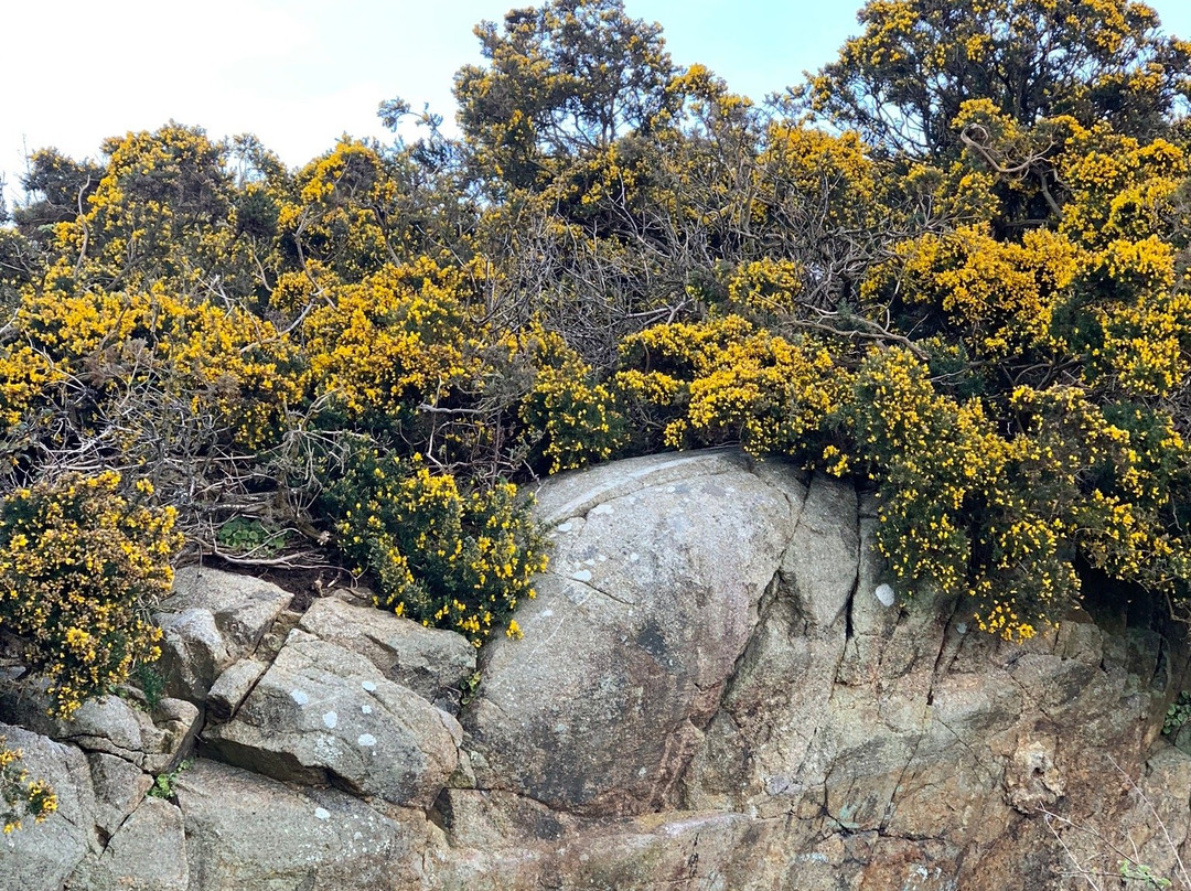 Dalkey Quarry-达尔基必去景点