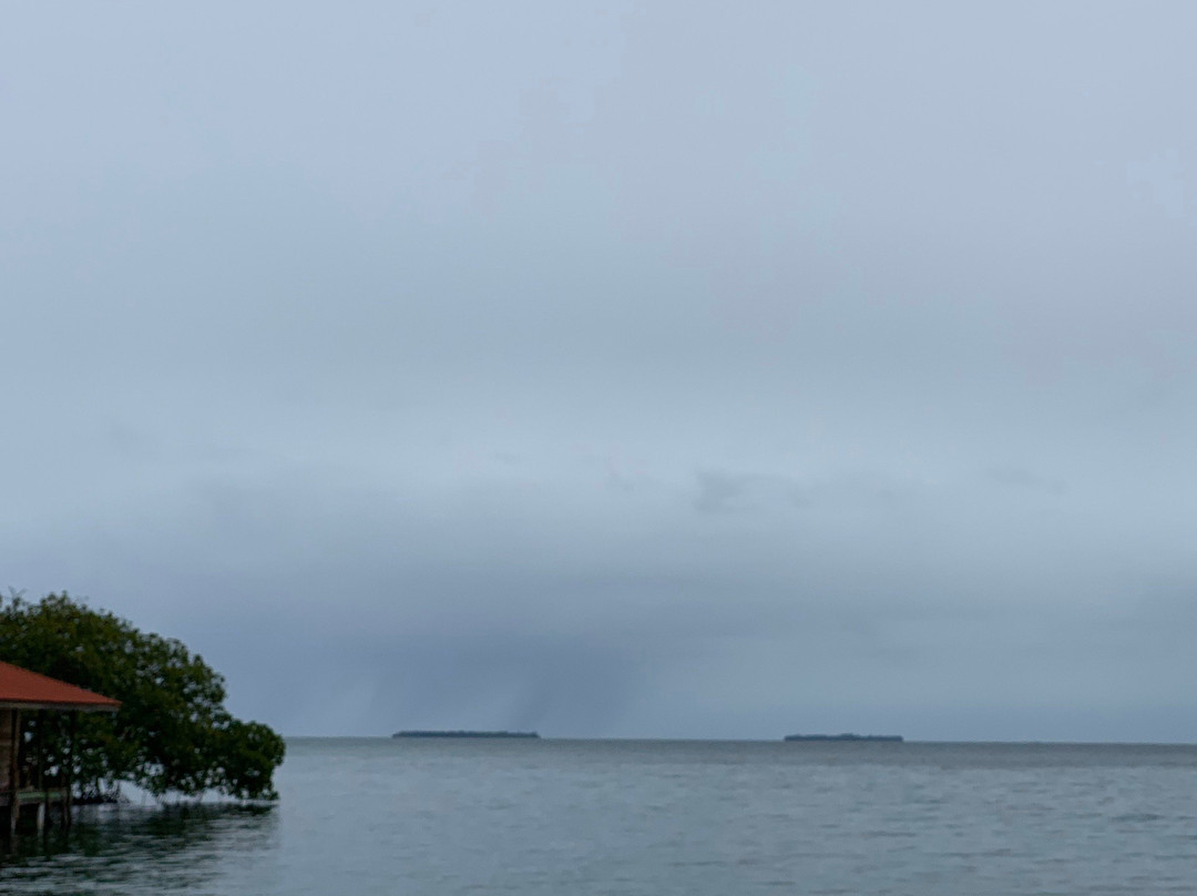 Crawl Cay (Kraal Cay)-博卡斯德尔托罗必去景点