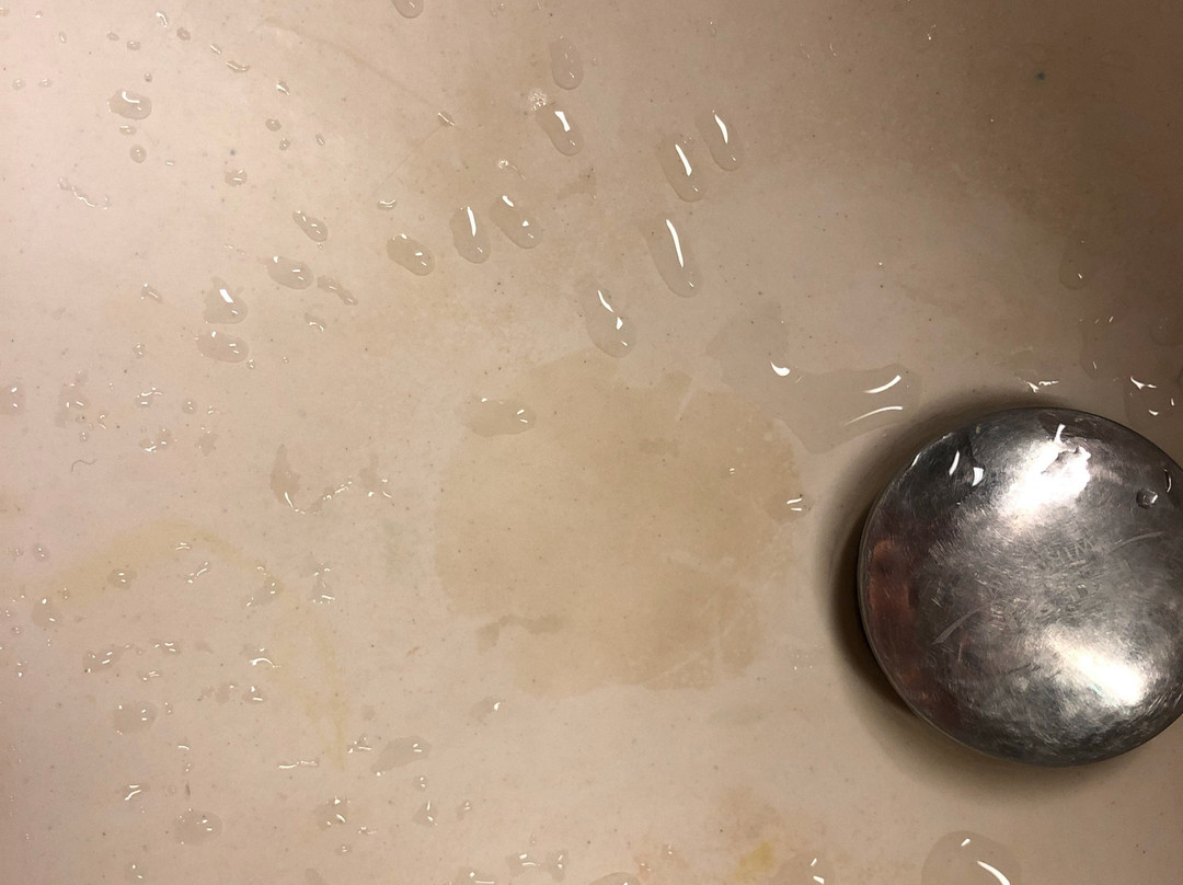 Château Jeanne & The Forest主图