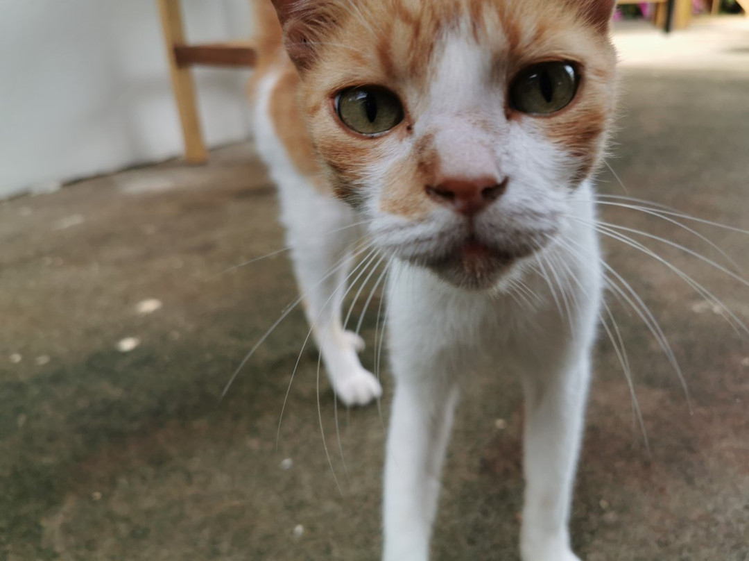 Drift Away Lodge主图