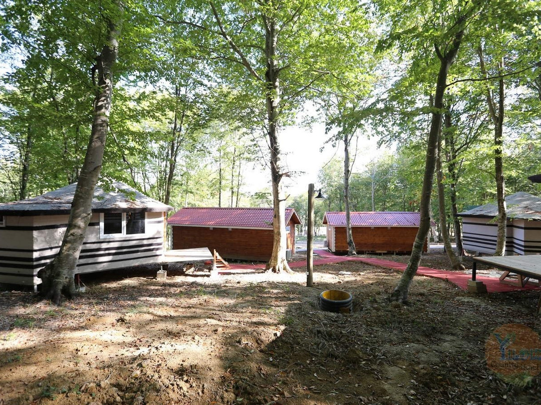 Yildiz Country Hotel主图