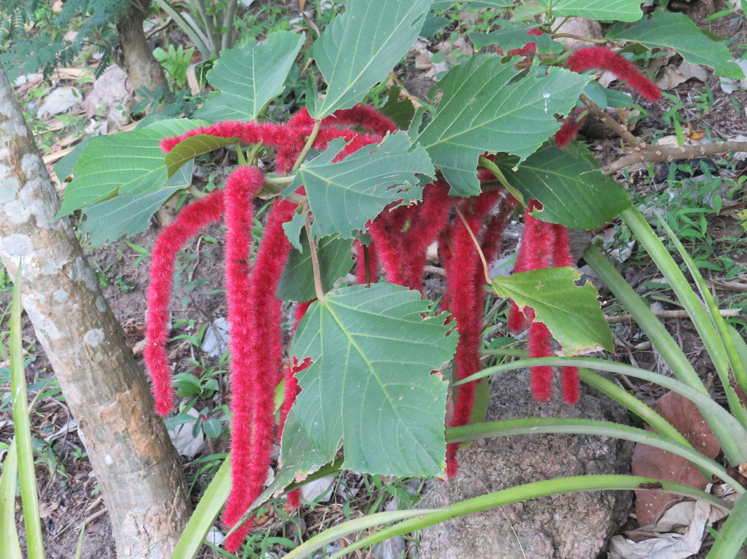 蝉之栈酒店主图