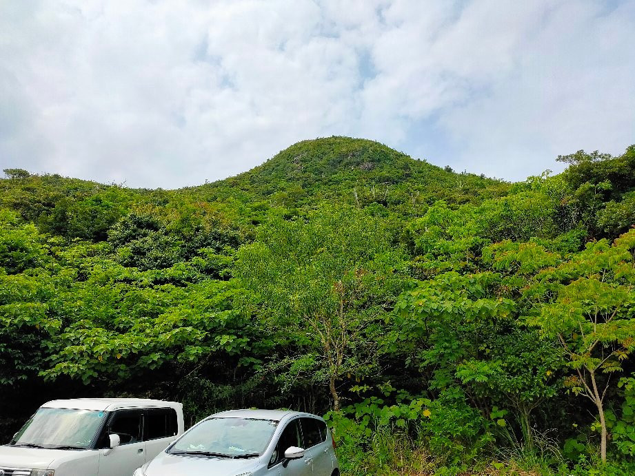 Nosoko Forest Road景点图片