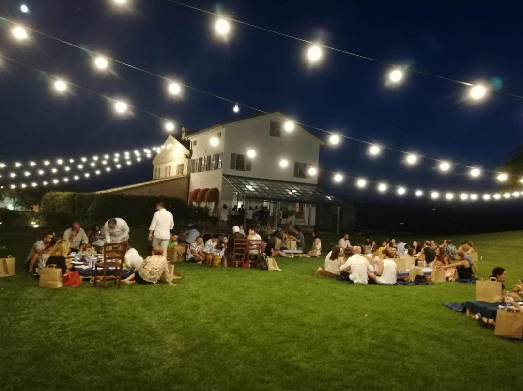 Tripendipity-费尔莫必去景点