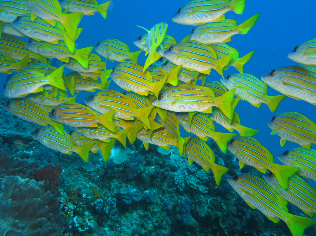 Sodwana Bay Lodge主图