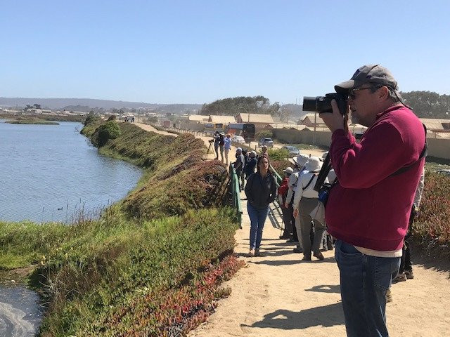 Humedal De Cartagena-瓦尔帕莱索必去景点