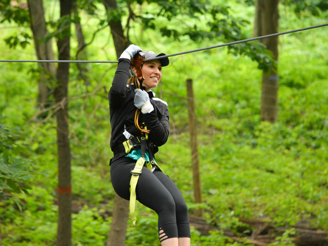 Treetop Quest Greenville-格林维尔必去景点