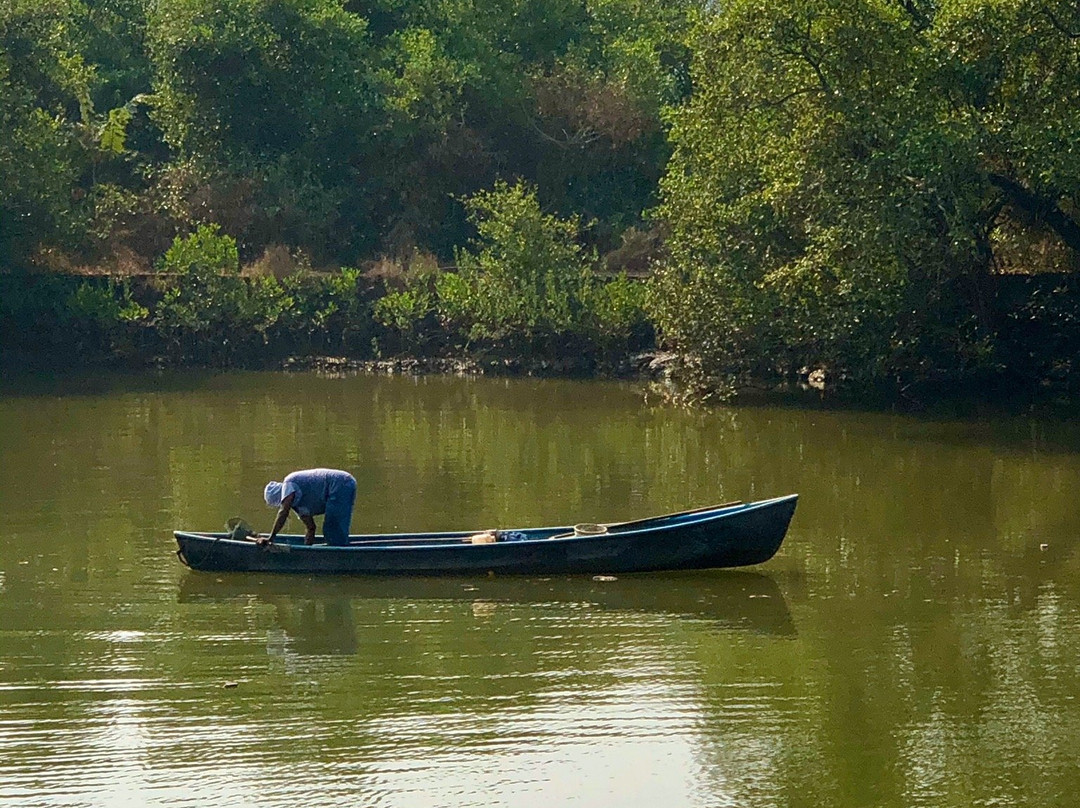 Mandovi River景点图片