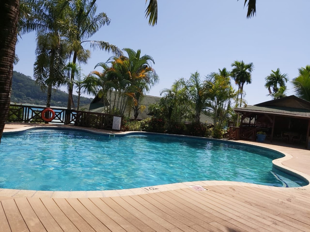 Le Jardin Des Palmes主图