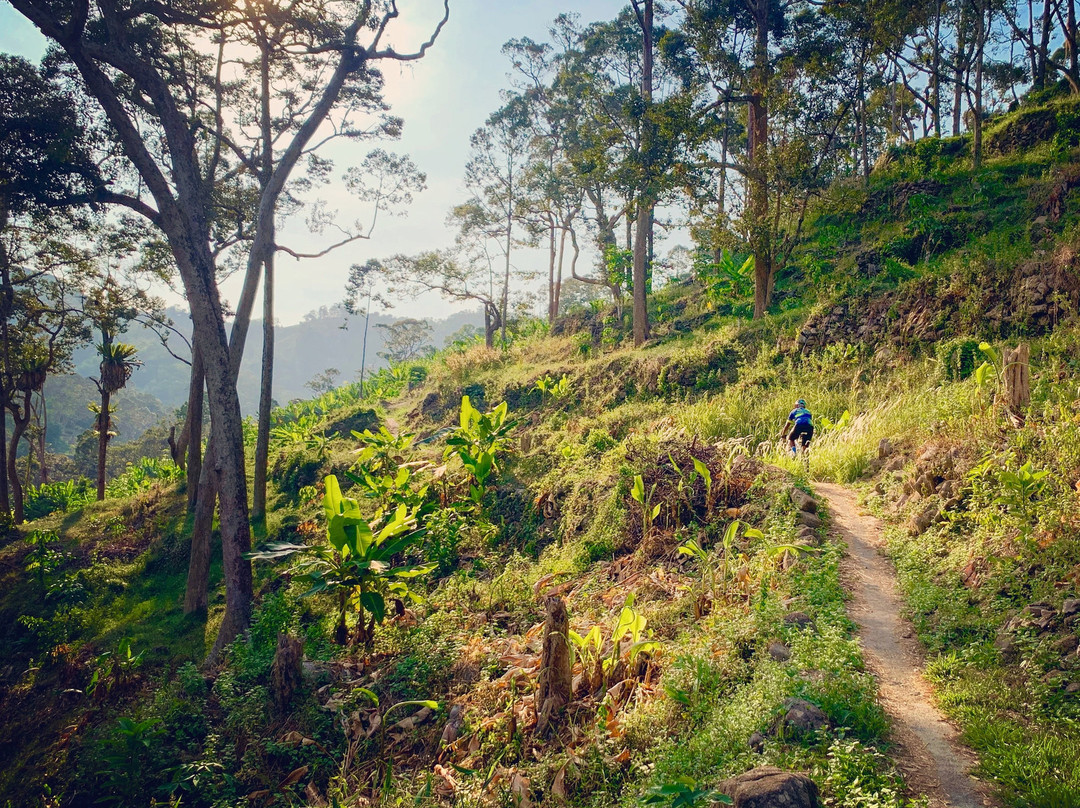 Matahari骑行之旅-乔治城必去景点