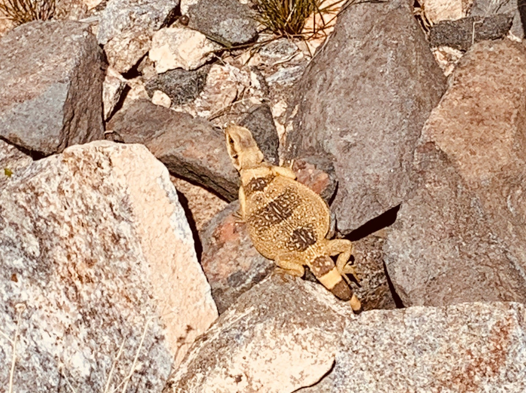 Telegraph Pass-尤马必去景点