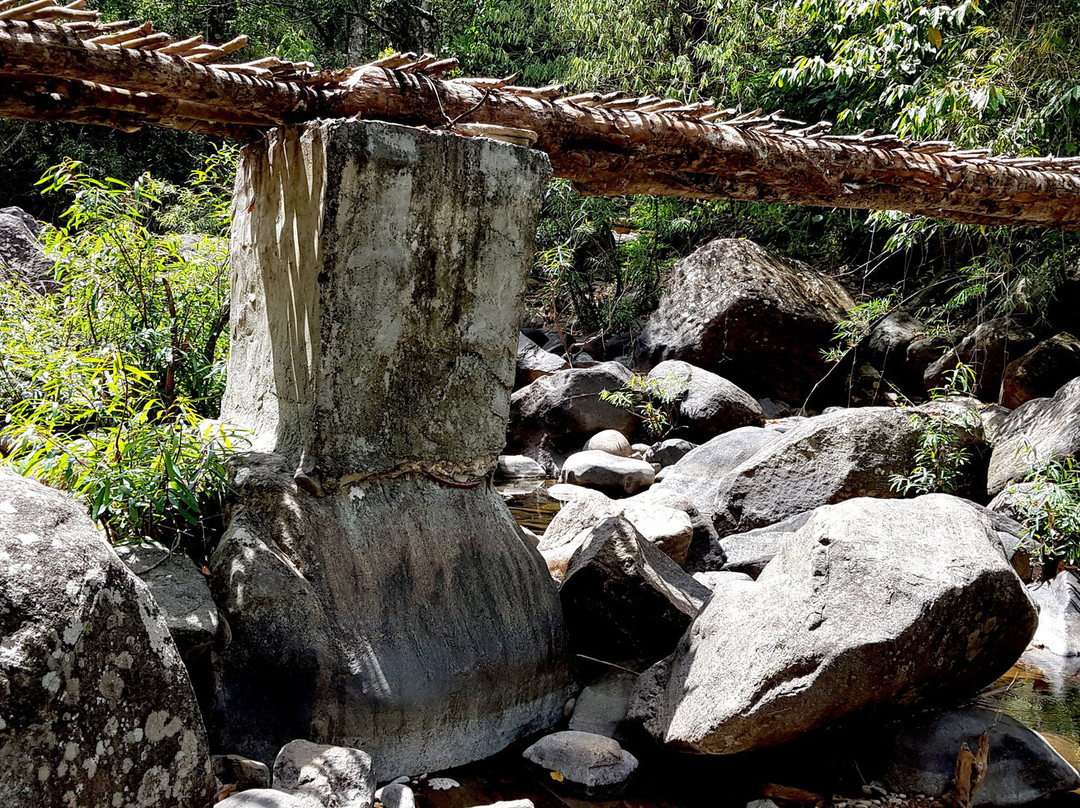 900 Woods Eco Resort主图