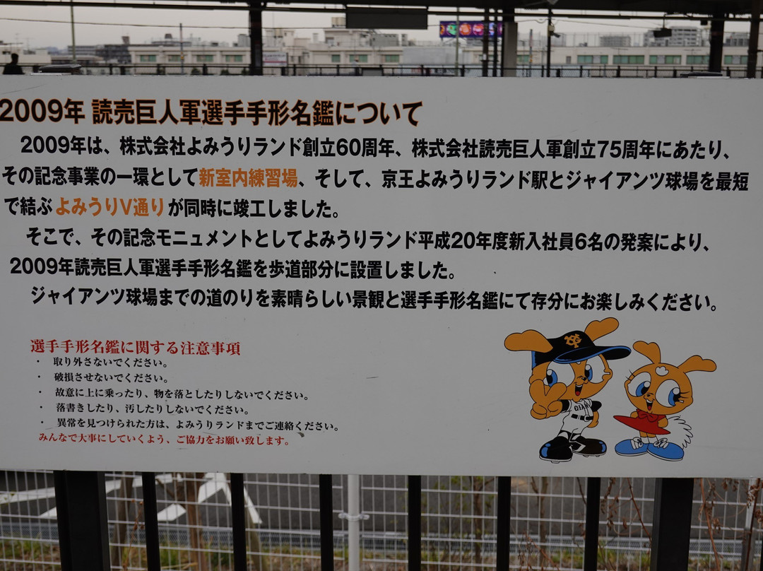 Yomiuri V Road-稻城市必去景点