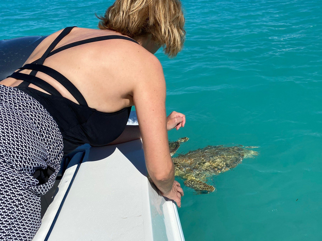 Hooper's Bay Beach-大埃克苏马必去景点