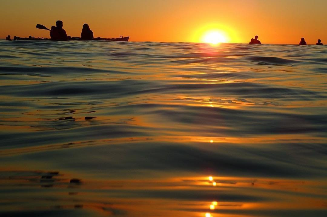 Cape Kayak Adventures-Three Anchor Bay必去景点