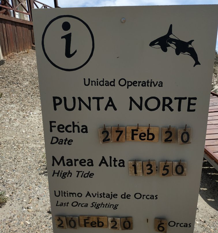 Punta Norte景点图片