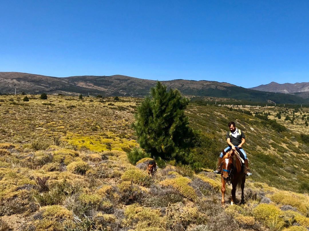 Cabalgatas & Aventura ArianePatagonia景点图片