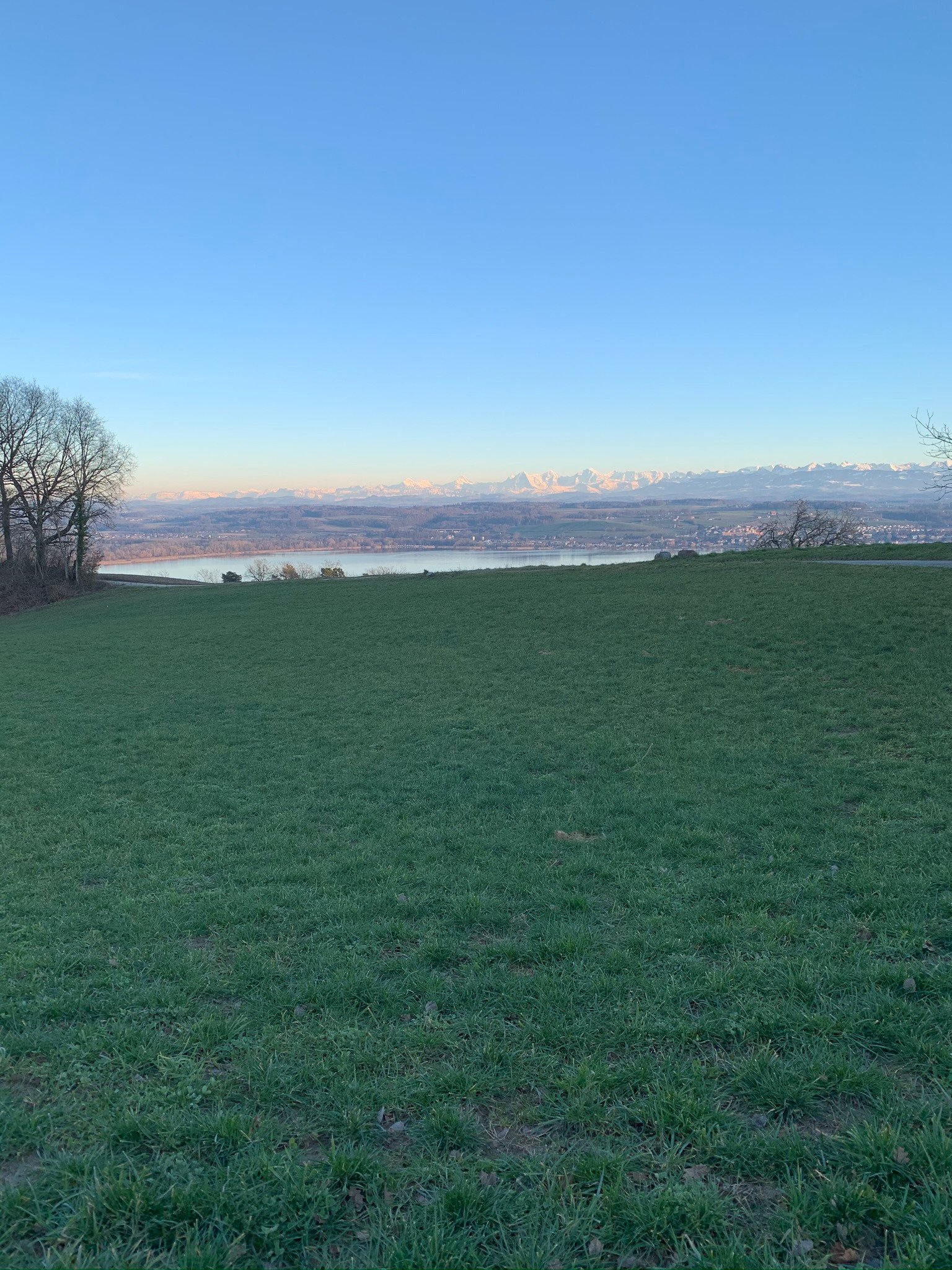 Hotel Restaurant Le Mont-Vully-官方