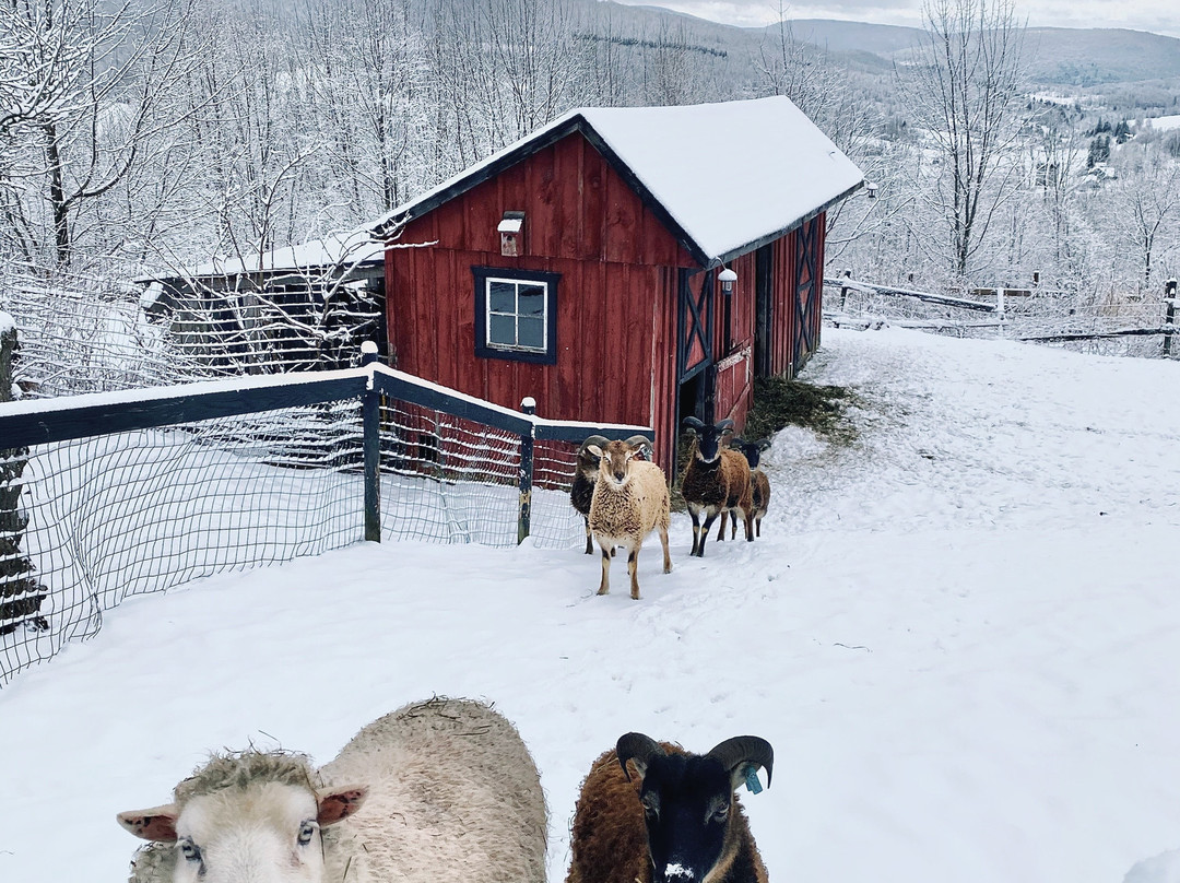 Highlanders View Bed & Breakfast主图