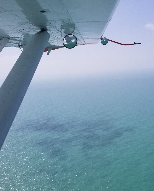 Tortugas Banks-海龟国家公园必去景点