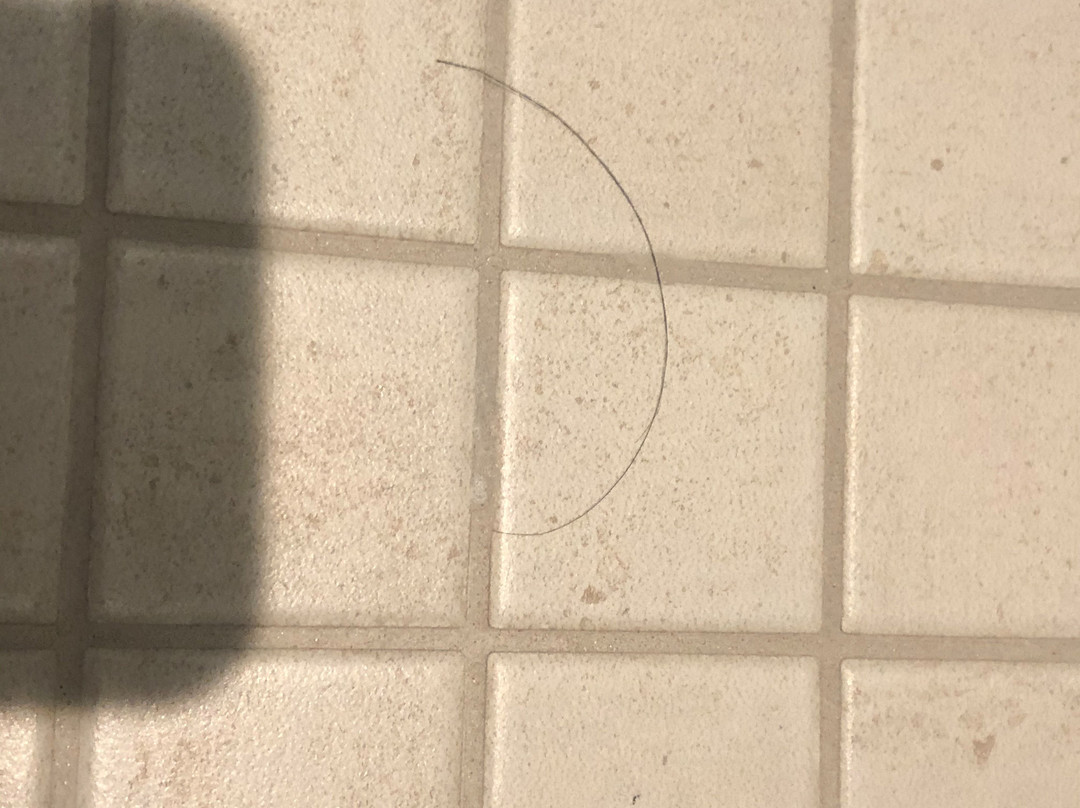 Cambria Hotel College Park主图