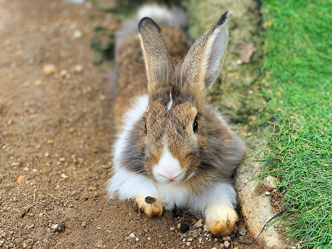 Selangor Fruits Valley-万挠必去景点