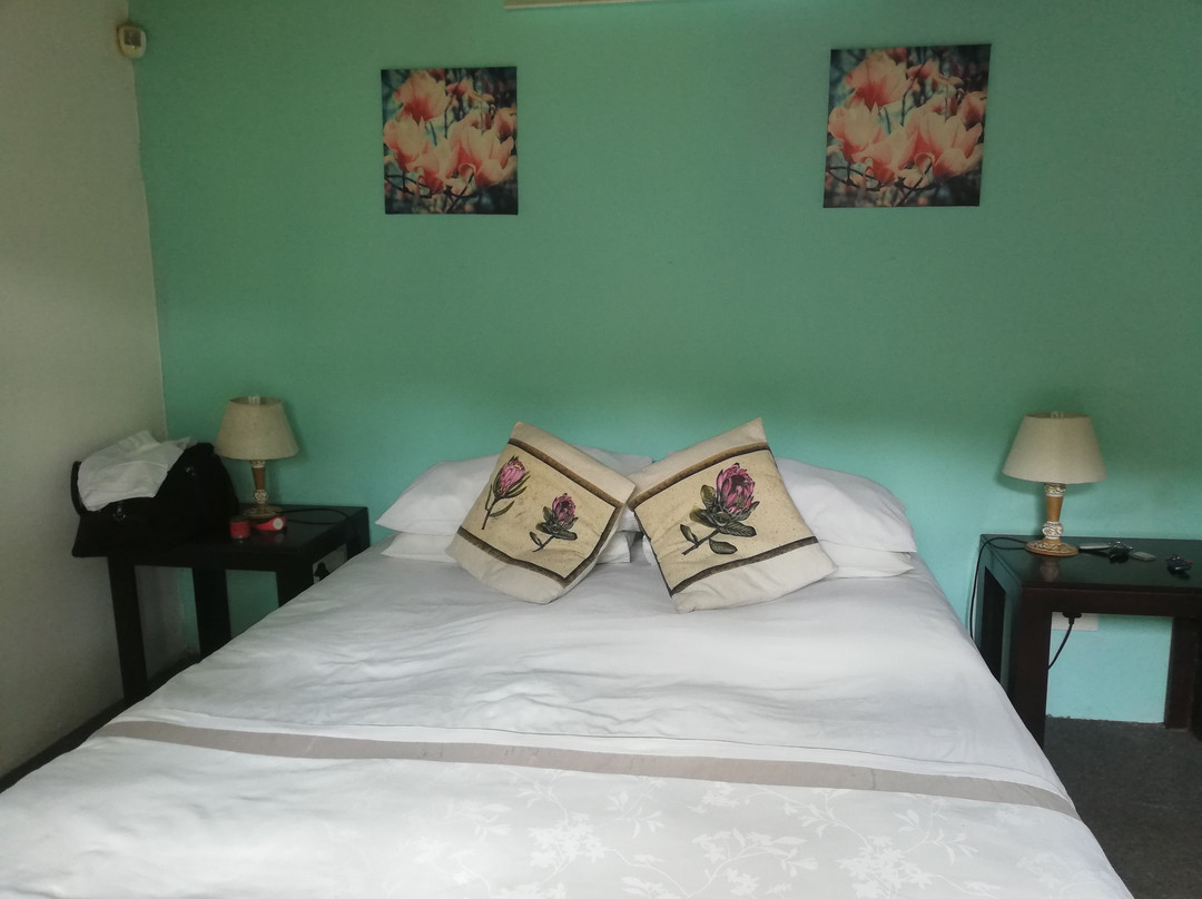 Tree House River Lodge主图