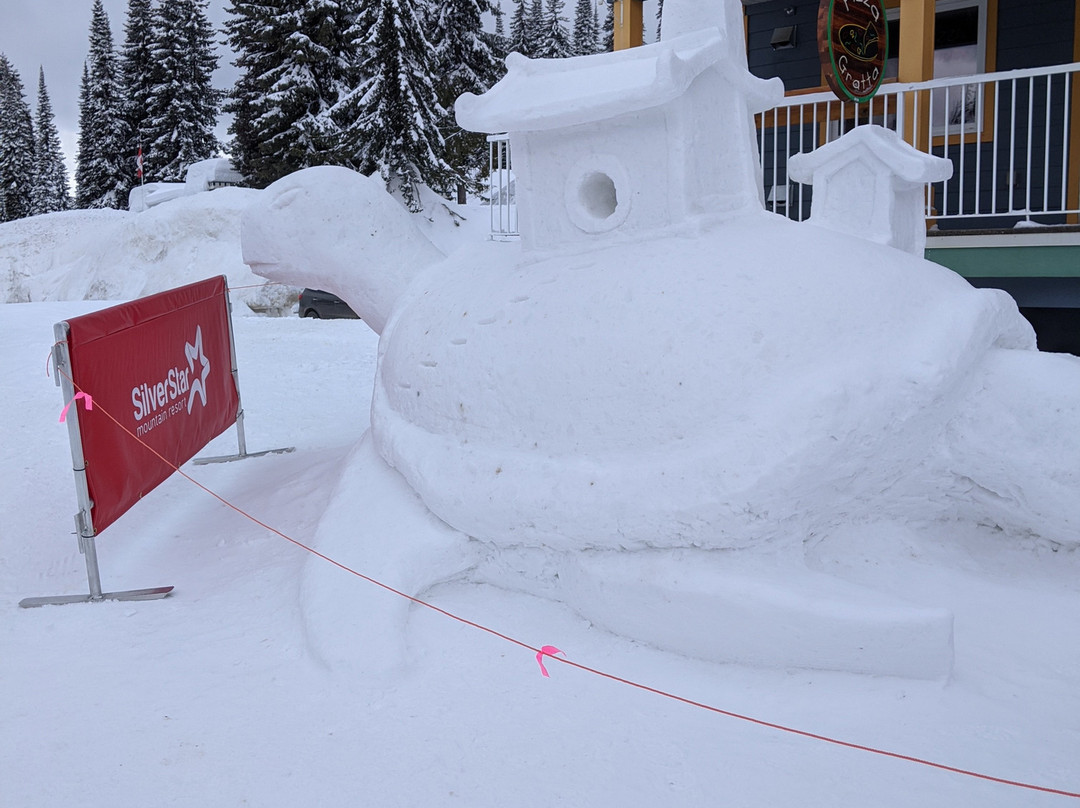 Sovereign Lake Nordic Club-弗农必去景点