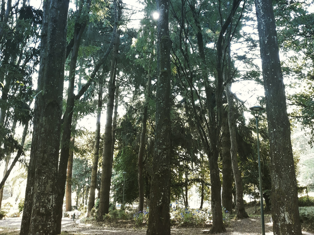 Parque Cuarto Centenario de Osorno-Osorno必去景点