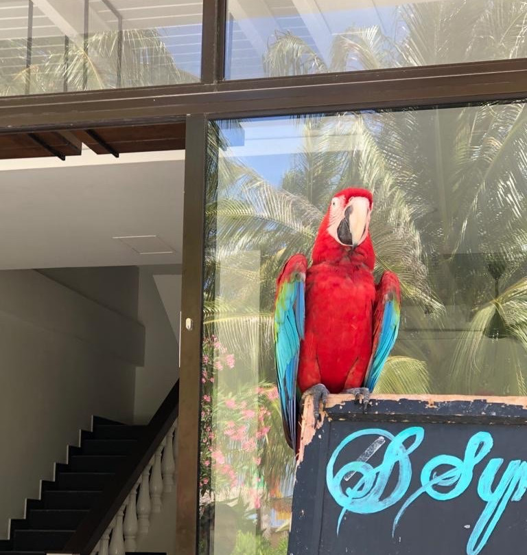 Crystal Sands Villa主图