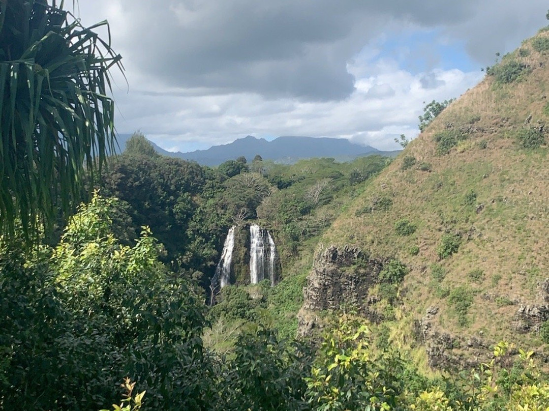 Secret Falls (Uluwehi Falls)景点图片