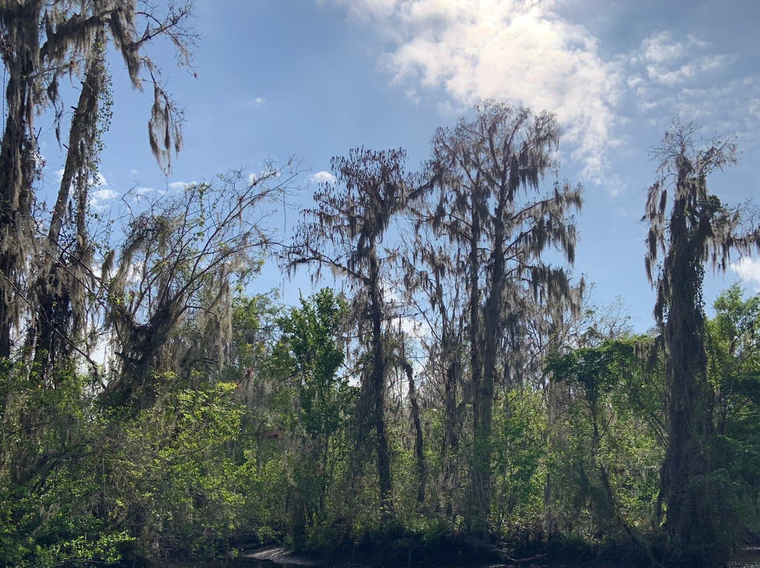 Nav-A-Gator-阿卡迪亚必去景点