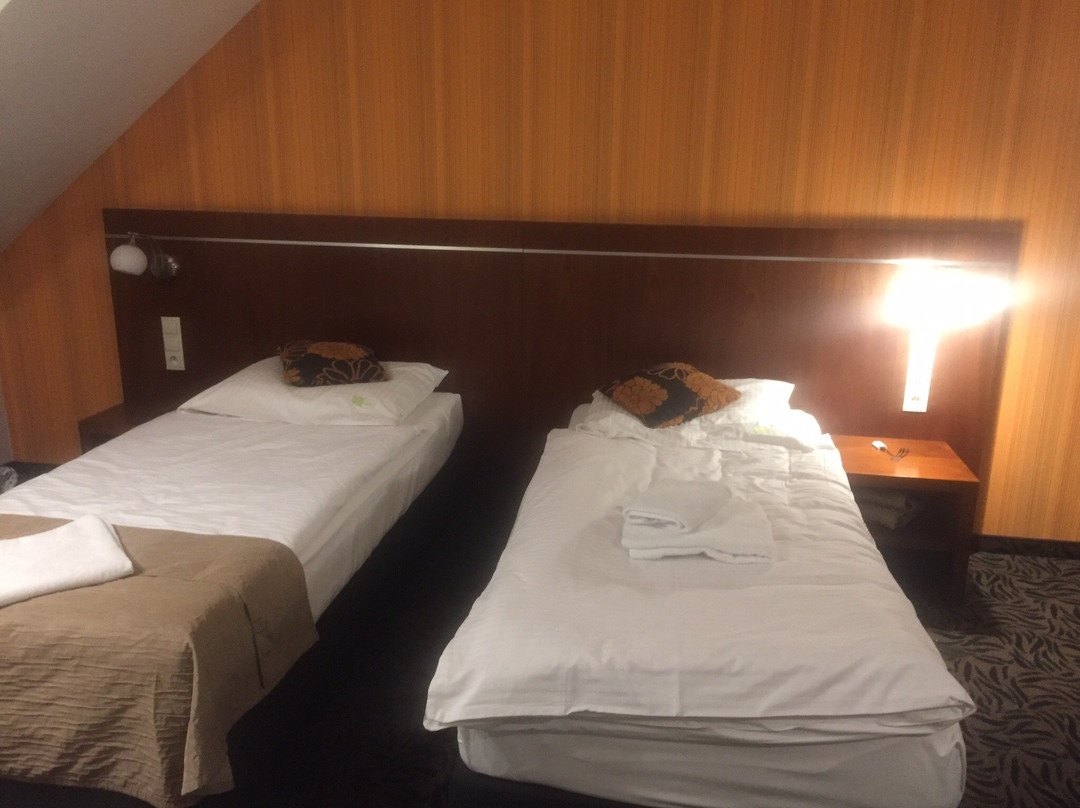 Hotel Azyl主图