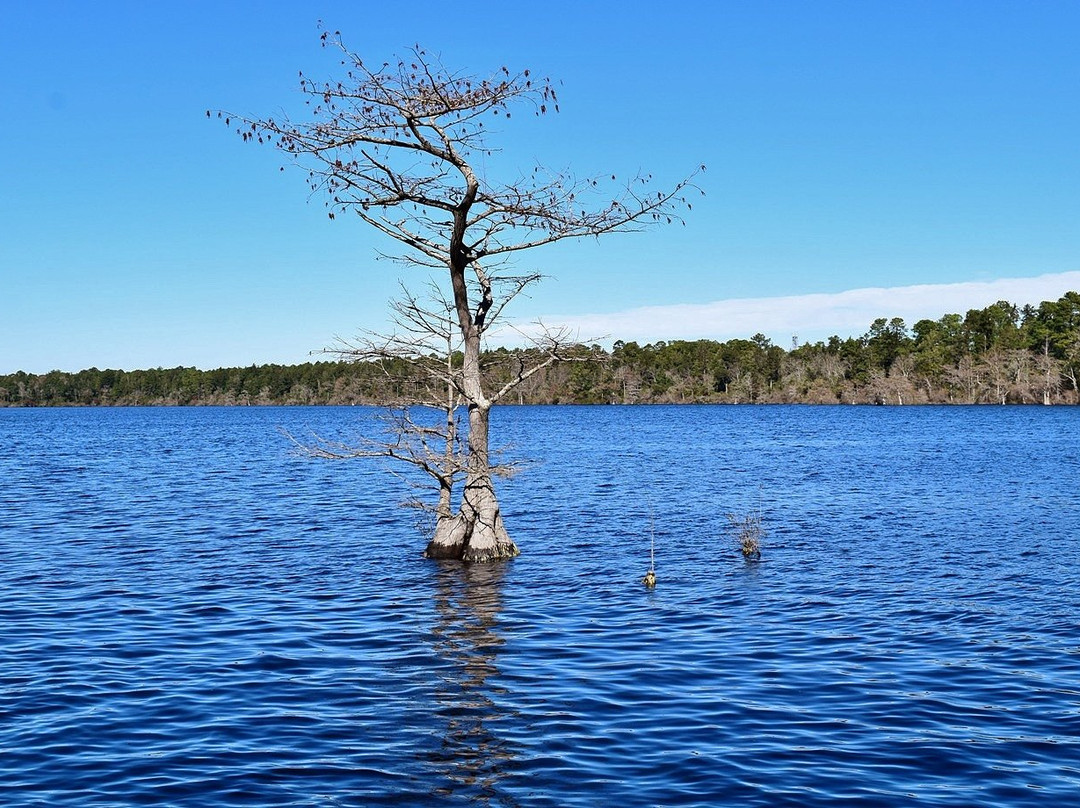 Jones Lake State Park景点图片