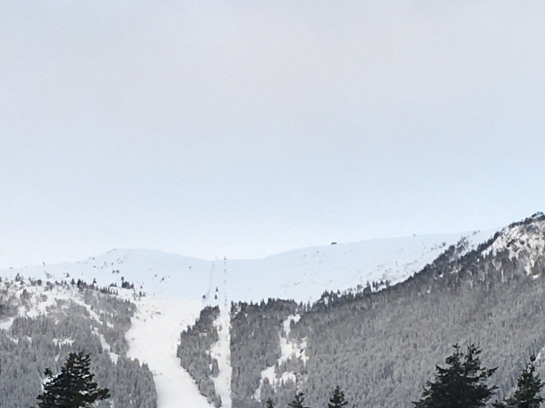 Sogn Skisenter景点图片