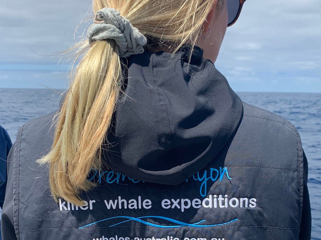 Bremer Canyon Killer whale Expeditions-Bremer Bay必去景点