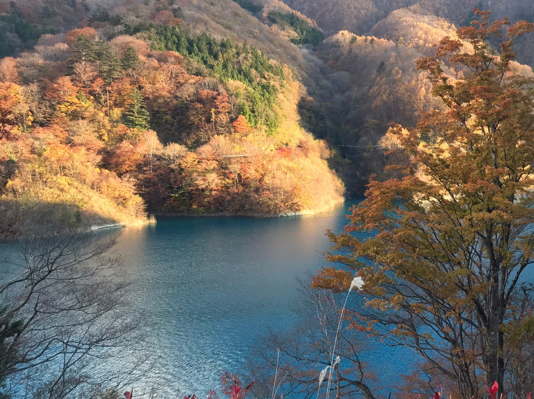 Okushima Lake景点图片
