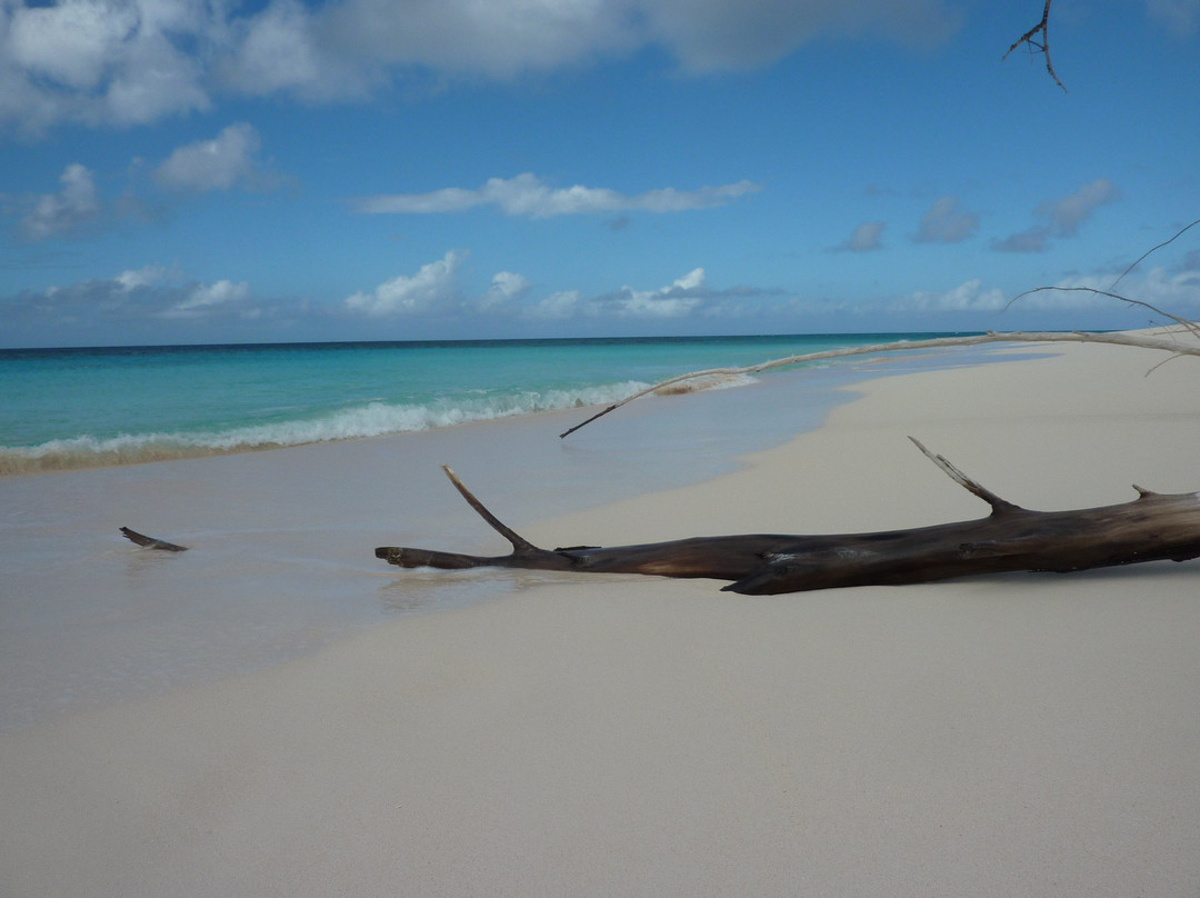 Shannas Cove Resort主图