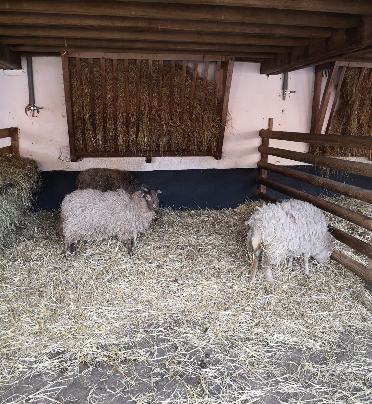 Sandwell Park Farm-西布罗姆维奇必去景点