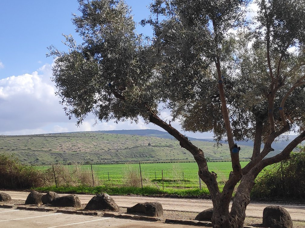 The Majrasa-Kinneret必去景点