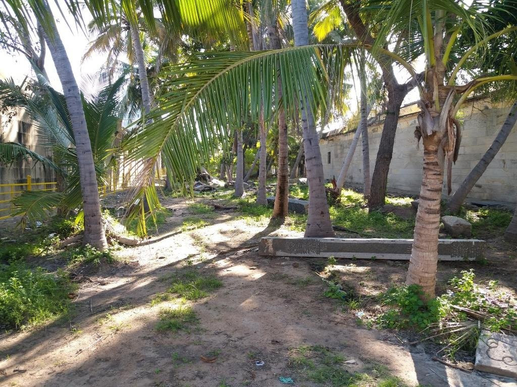 Arulmigu Mangalaleswari Udanurai Mangalanatha Swamy Temple景点图片