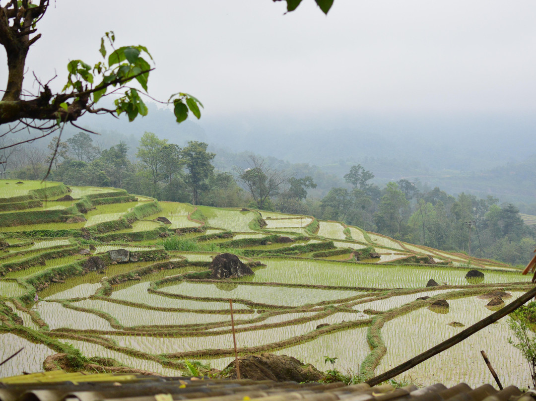 Local Tours PU LUONG景点图片