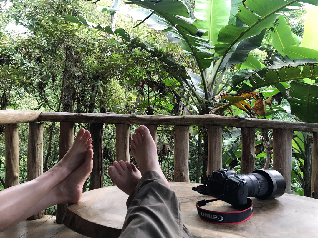 Finca Amistad Cacao Lodge主图