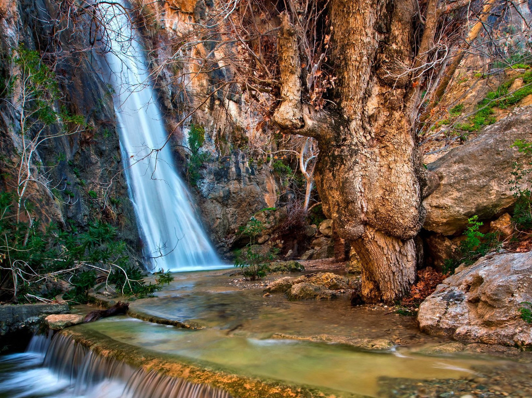 New Aurora Apts Studios主图