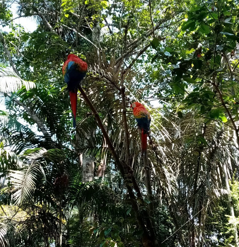 Amazon Rescue Center景点图片