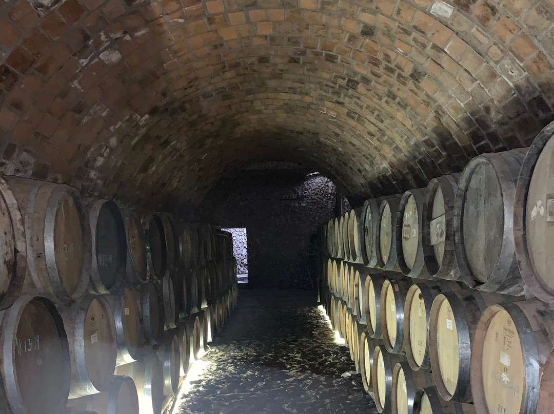 Tequila Tres Mujeres-Amatitan必去景点