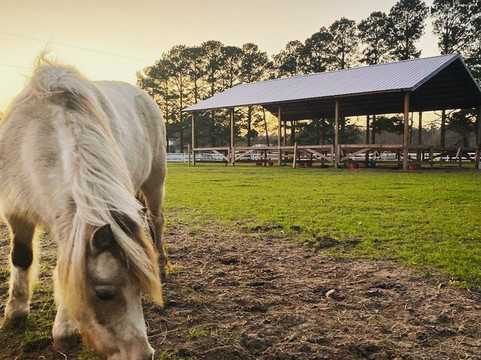 Red Gate Farms Equestrian Center-萨凡纳必去景点
