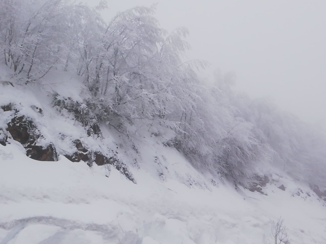 Kartepe Ski Center景点图片