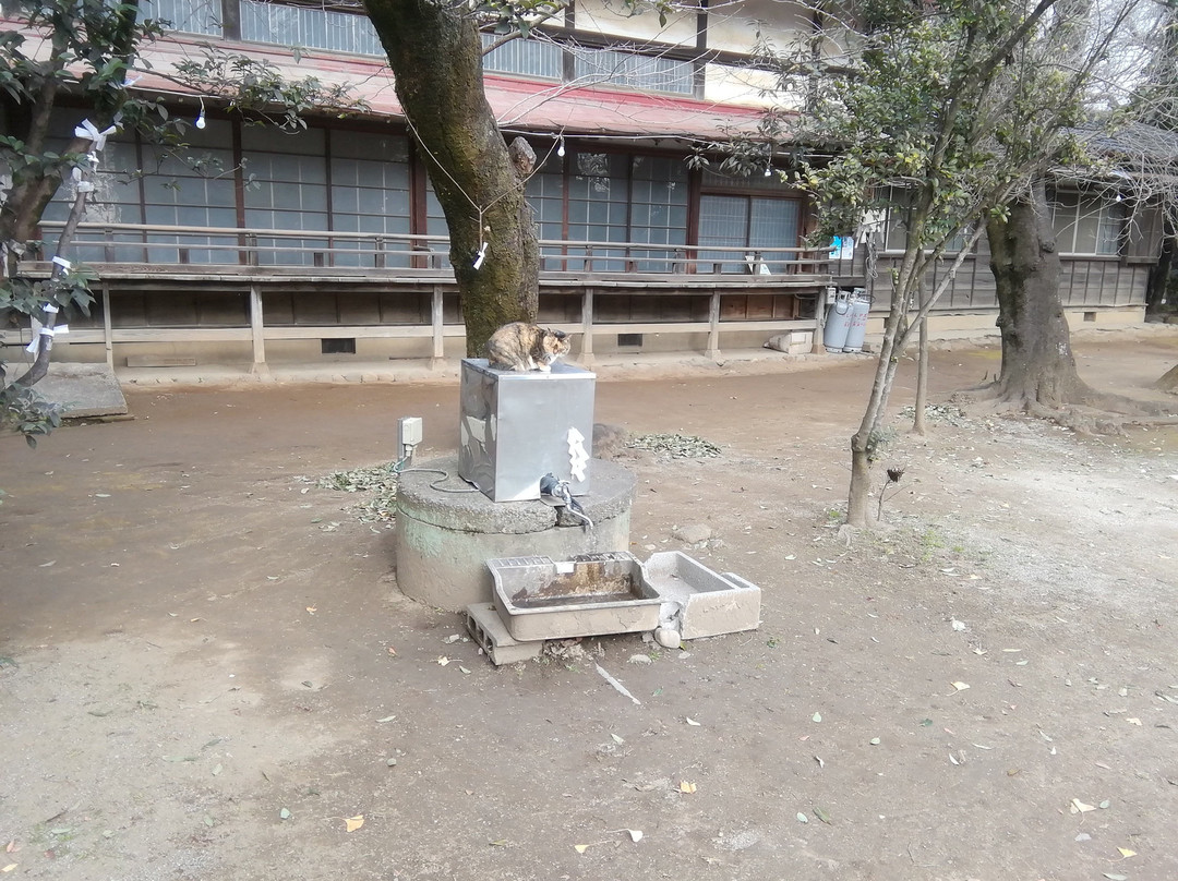 Suzume Shrine-古河市必去景点