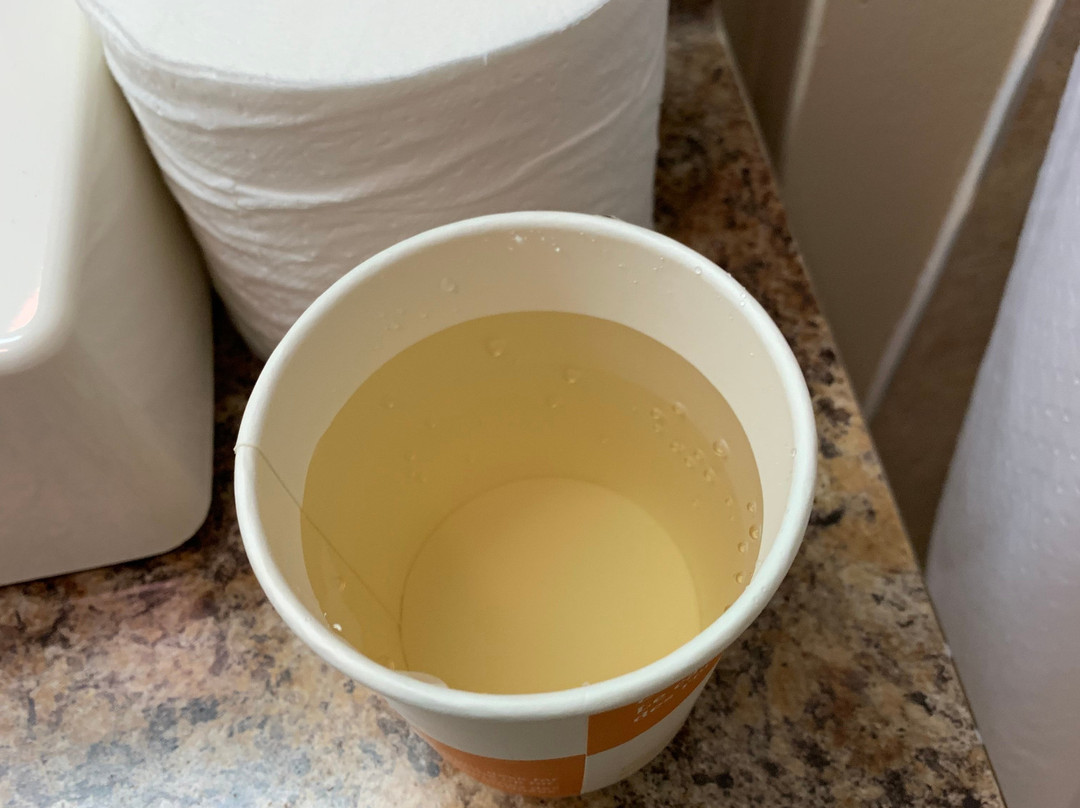 Econo Lodge Miramichi主图